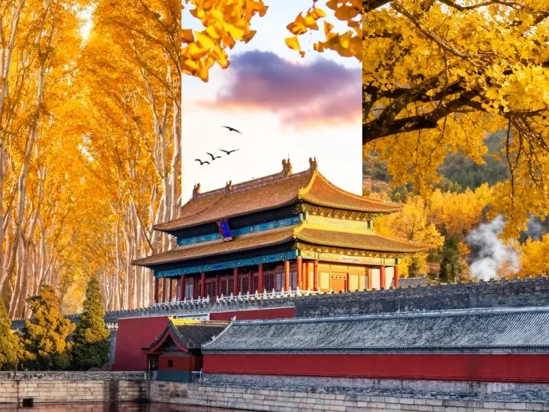 Du lịch Trung Quốc mùa thu 2026: Top 10 điểm đến đẹp nhất và kinh nghiệm khám phá chi tiết