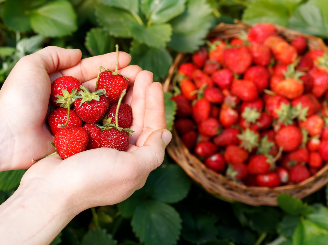 SEOUL%20-%20NAMI%20-%20LOTTE%20WORLD%20T