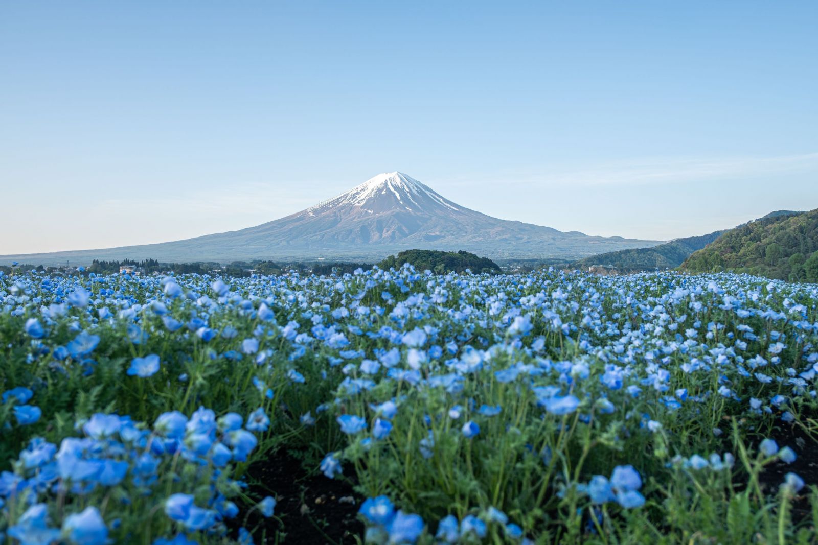 FUJI%20-%20TOKYO%205N4%C4%90%20BAY%20VJ%