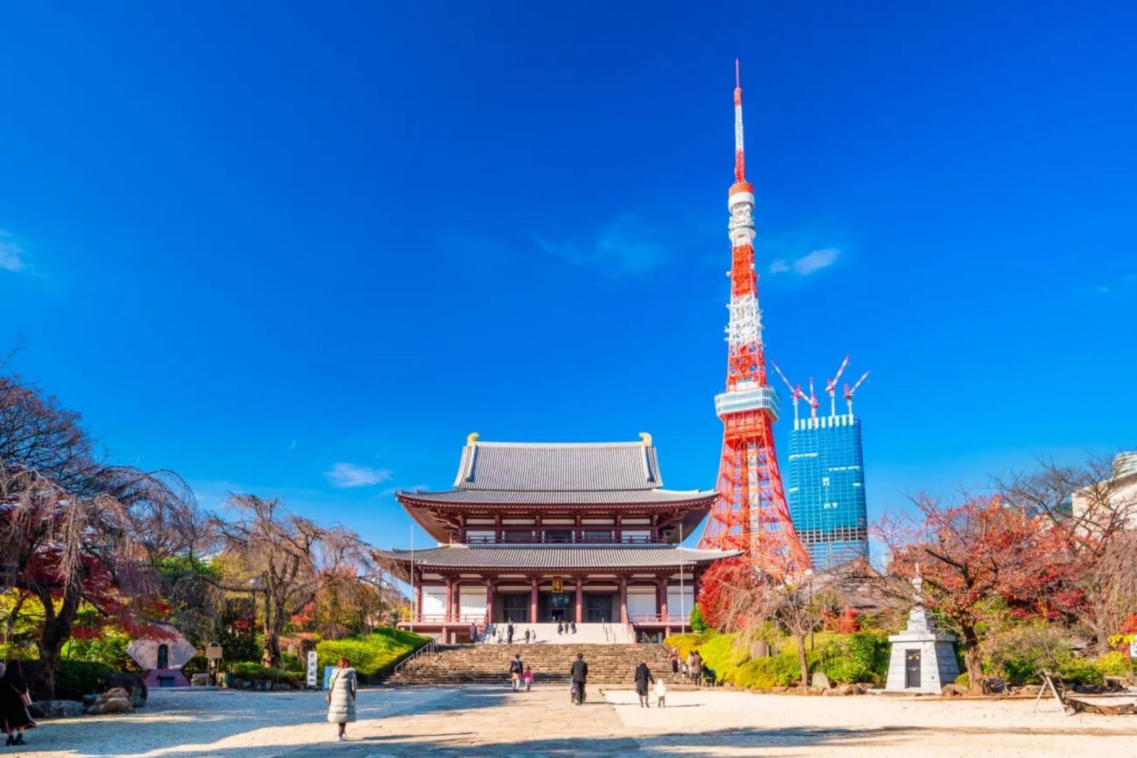 FUJI%20TOKYO%20DISNEYLAND%205N4%C4%90%20