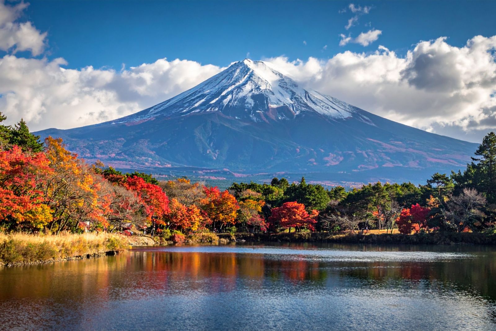 FUJI%20TOKYO%20DISNEYLAND%205N4%C4%90%20