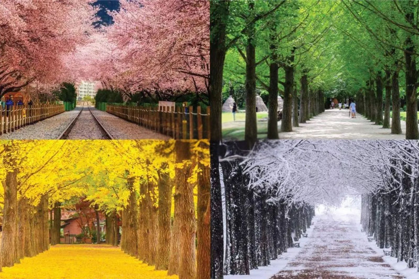 SEOUL%20-%20NAMI%20-%20EVERLAND%205N4%C4