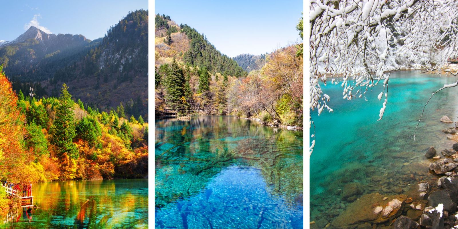 TH%C3%80NH%20%C4%90%C3%94%20-%20C%E1%BB%