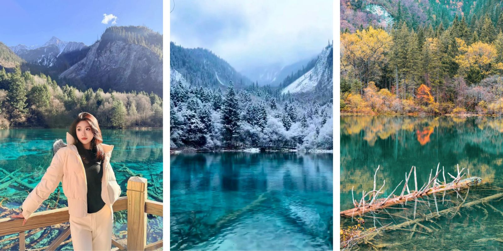 TH%C3%80NH%20%C4%90%C3%94%20-%20C%E1%BB%